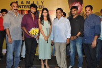 Bhale Bhale Magadivoy Movie  Successmeet Photos